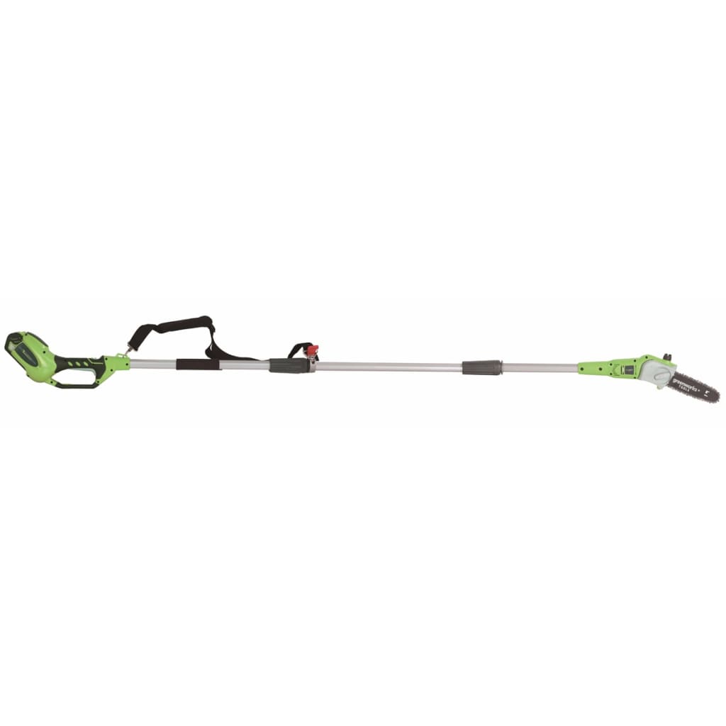 Greenworks Takkenzaagset met 40 V 2 Ah accu G40PS20 20 cm 20157UA