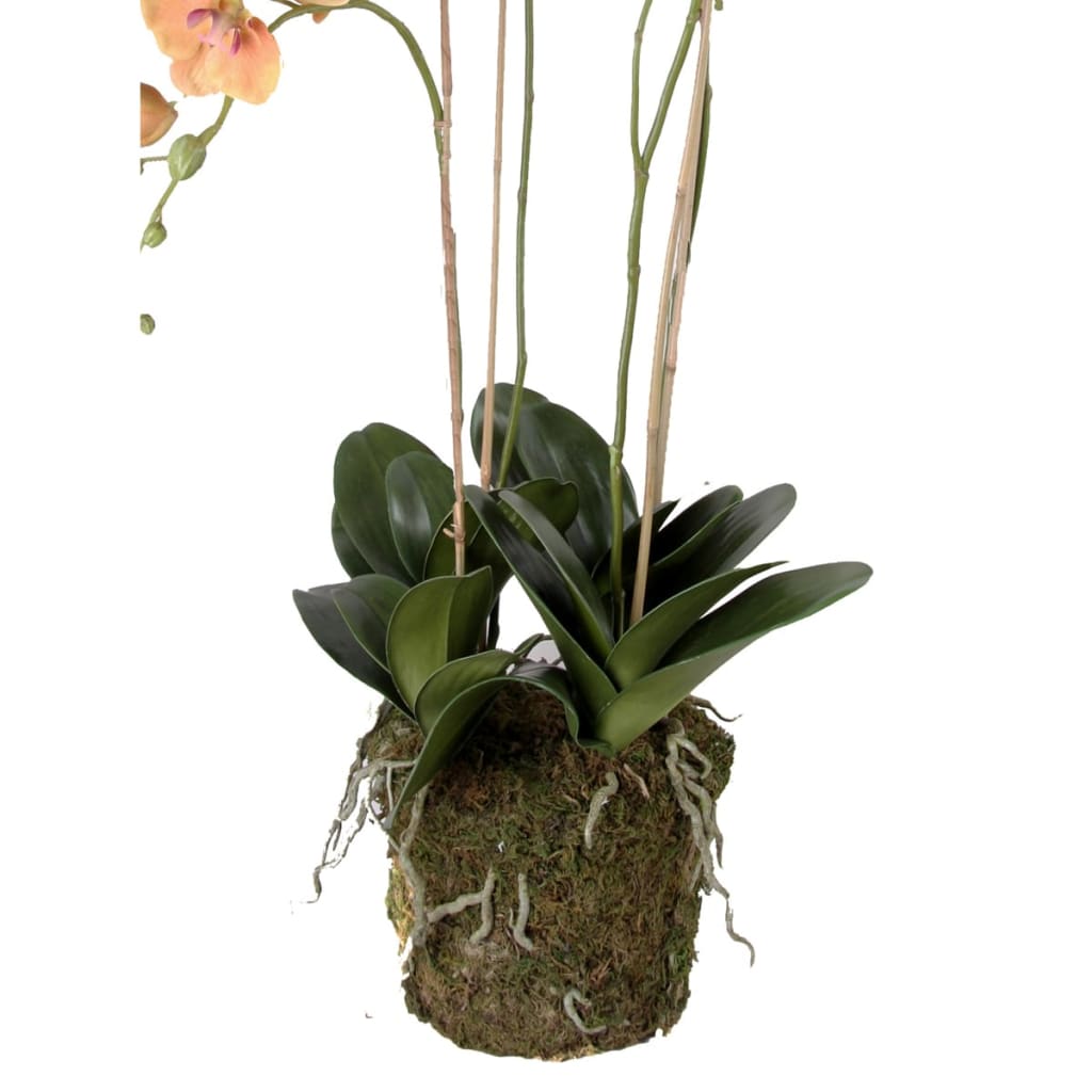 Emerald Kunstplant orchidee met mos oranje 419150