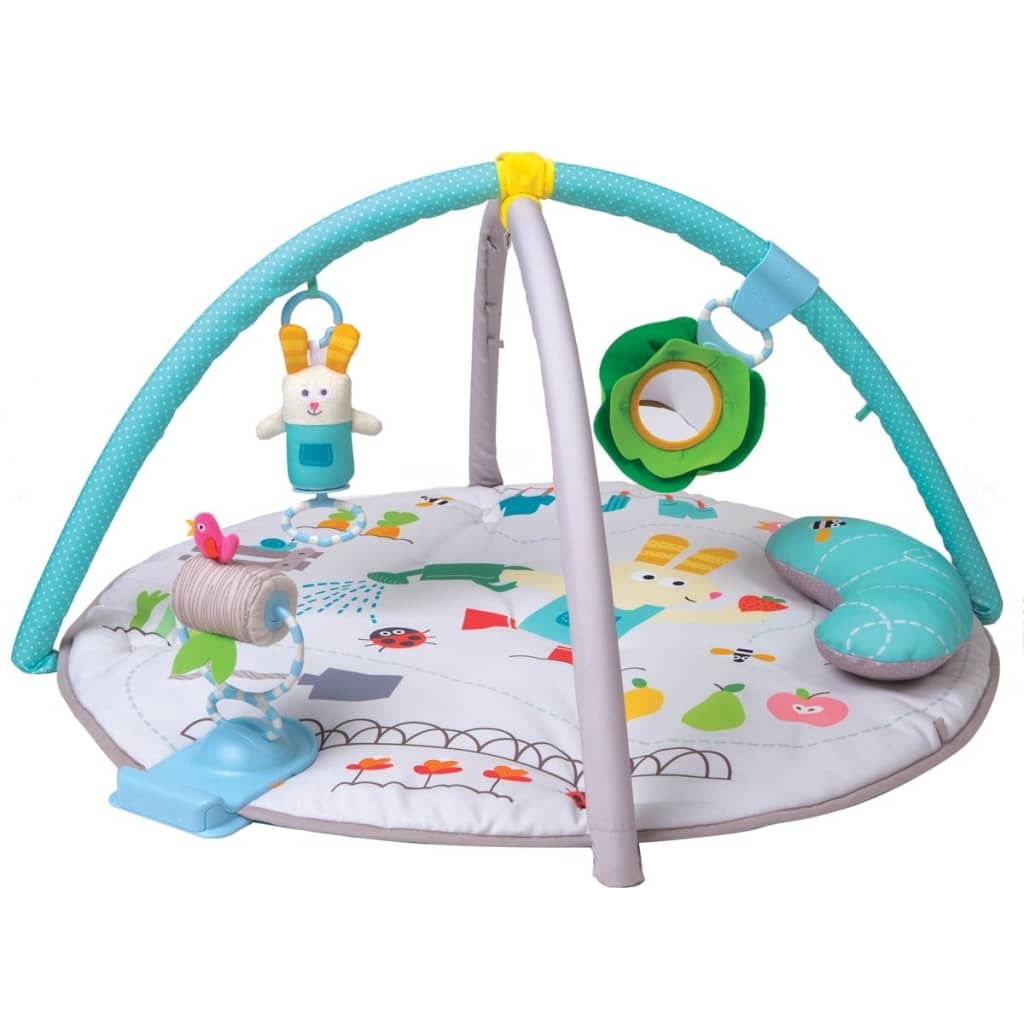 Afbeelding Taf Toys Baby Speelmat Garden Tummy Time Gym door Vidaxl.nl