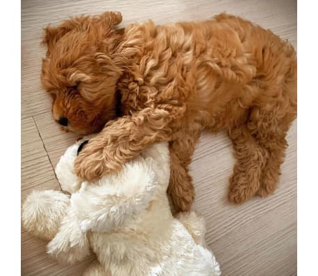 Snuggle Puppy Pluszowy pies dla psa, z biciem serca, złoty