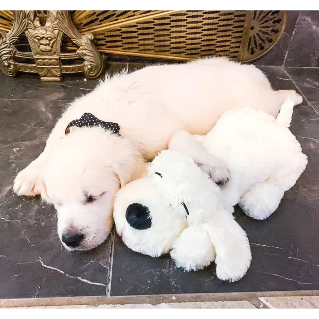 Snuggle Puppy - Beige