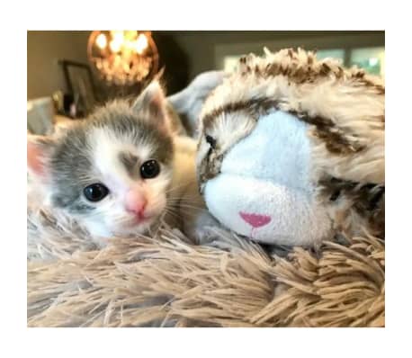 Snuggle Puppy Gato de peluche com batimento cardíaco cinzento e branco