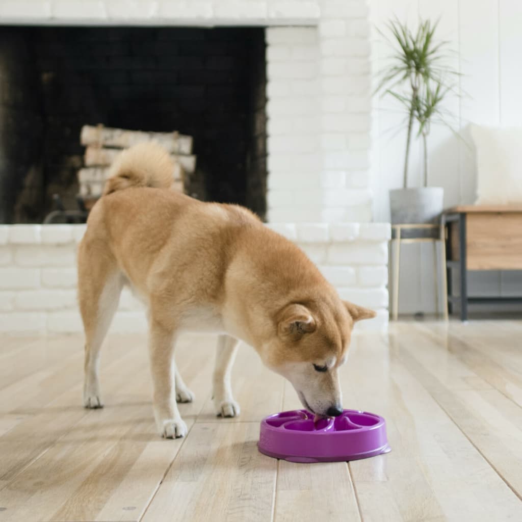 Afbeelding Outward Hound Mini Fun Feeder Flower - Purple door Vidaxl.nl