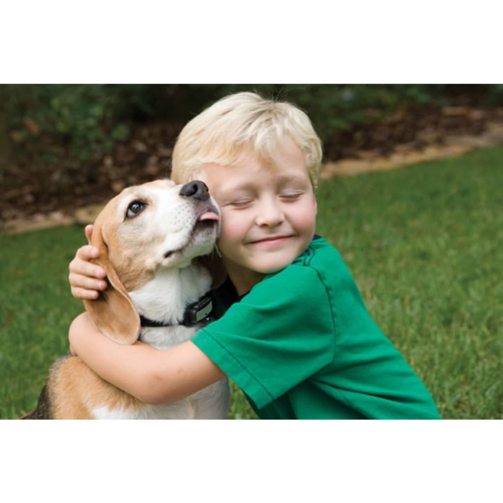 

PetSafe Anti-blafhalsband Deluxe 3,6-18 kg 6017