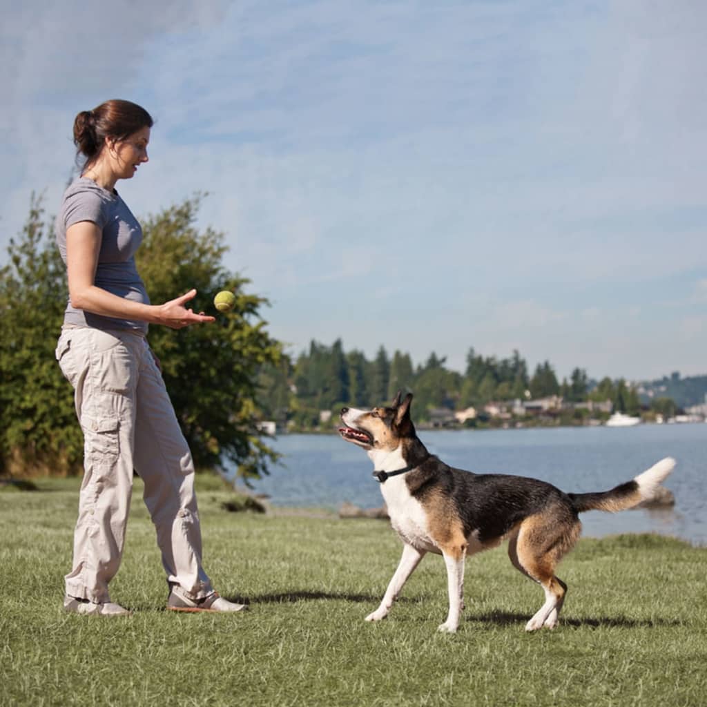 

PetSafe Deluxe Trainingshalsband met afstandsbediening ST-350-LD 350 m 3,6-18 kg 6014
