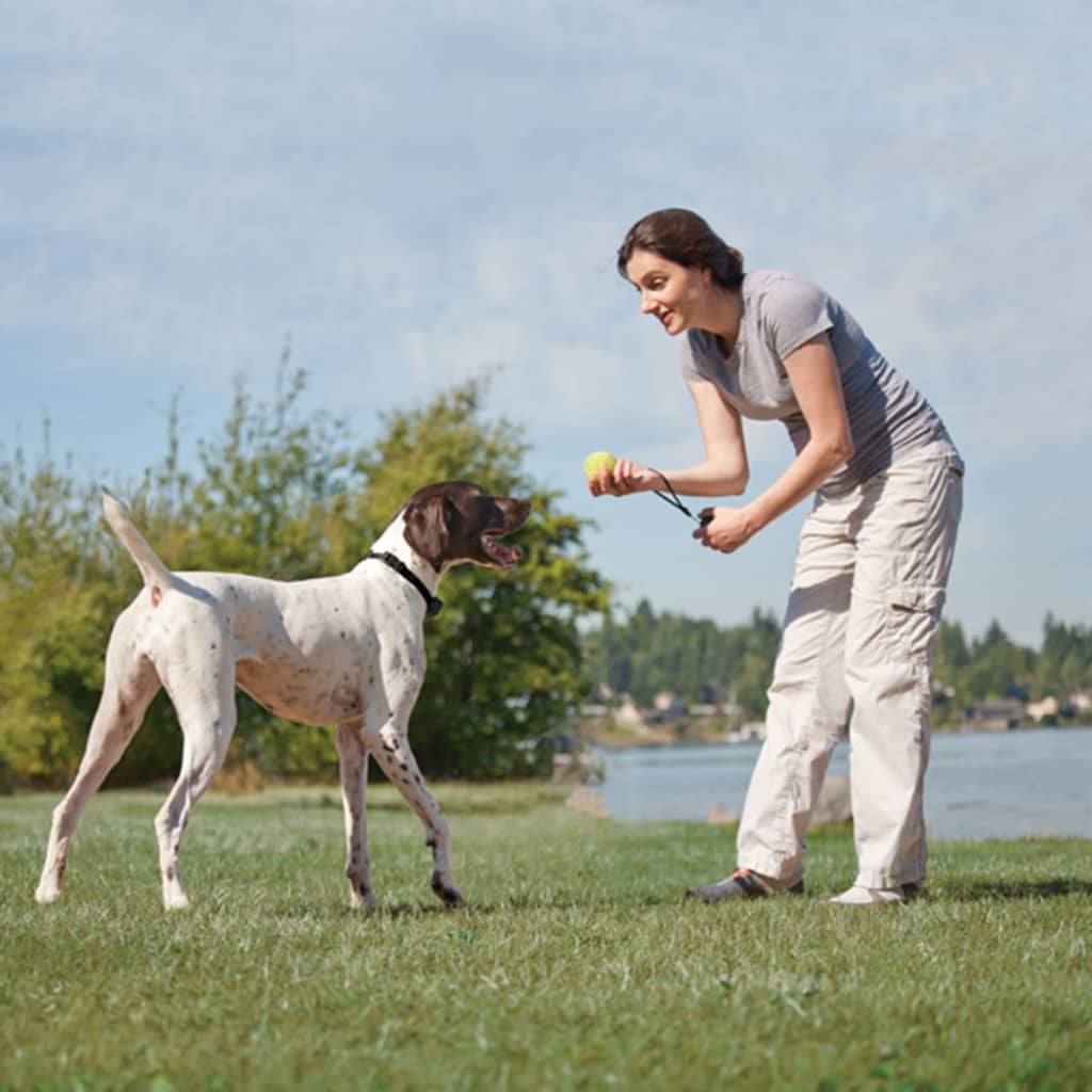 

PetSafe Deluxe Trainingshalsband op afstand bedienbaar Add-A-Dog 6015A