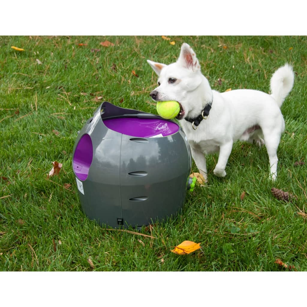 PetSafe Lanzador de pelotas automático gris y morado 9 m