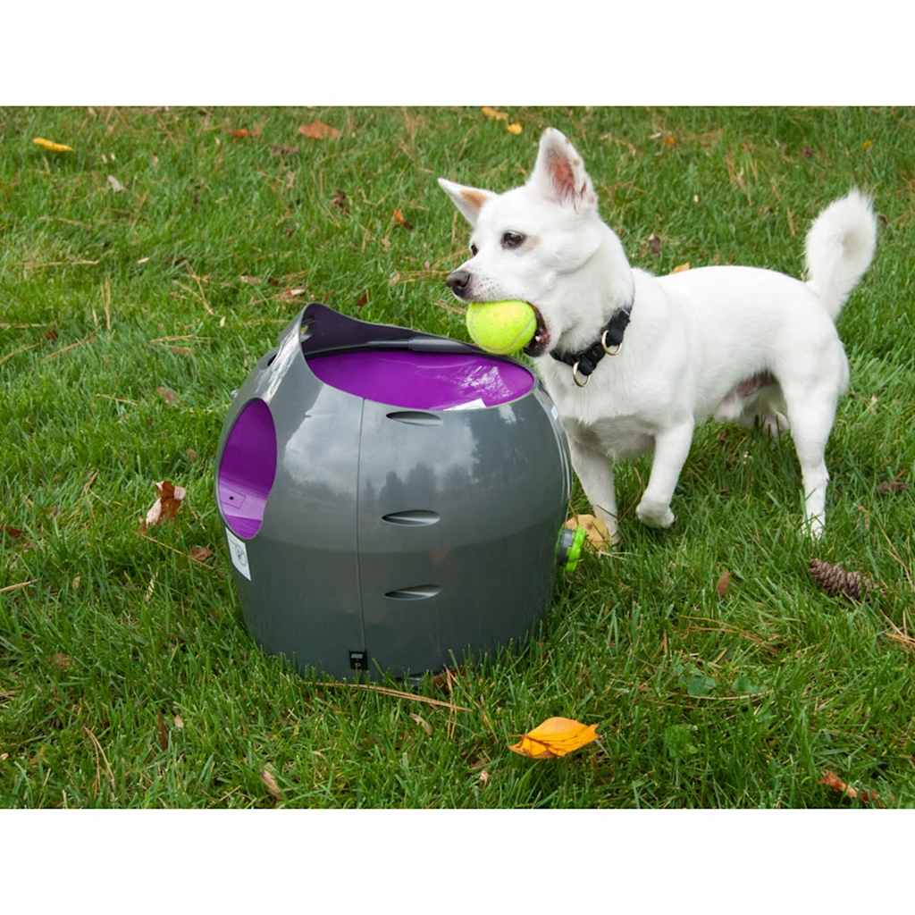 PetSafe Balwerper automatisch grijs en paars 9 m PTY00-14665 afbeelding