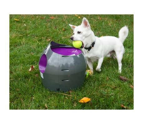 PetSafe Automatischer Ballwerfer für Haustiere 9 m Grau und Lila