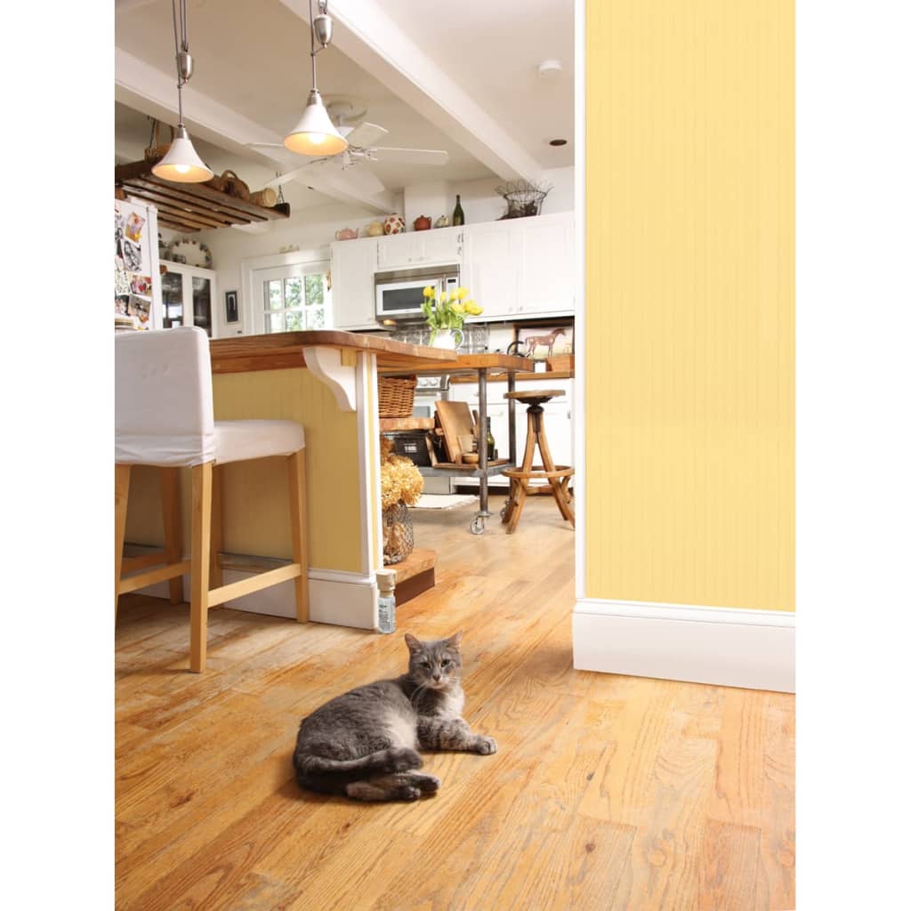 

PetSafe Huisdieren afschrikspray Ssscat 1 m 6059A