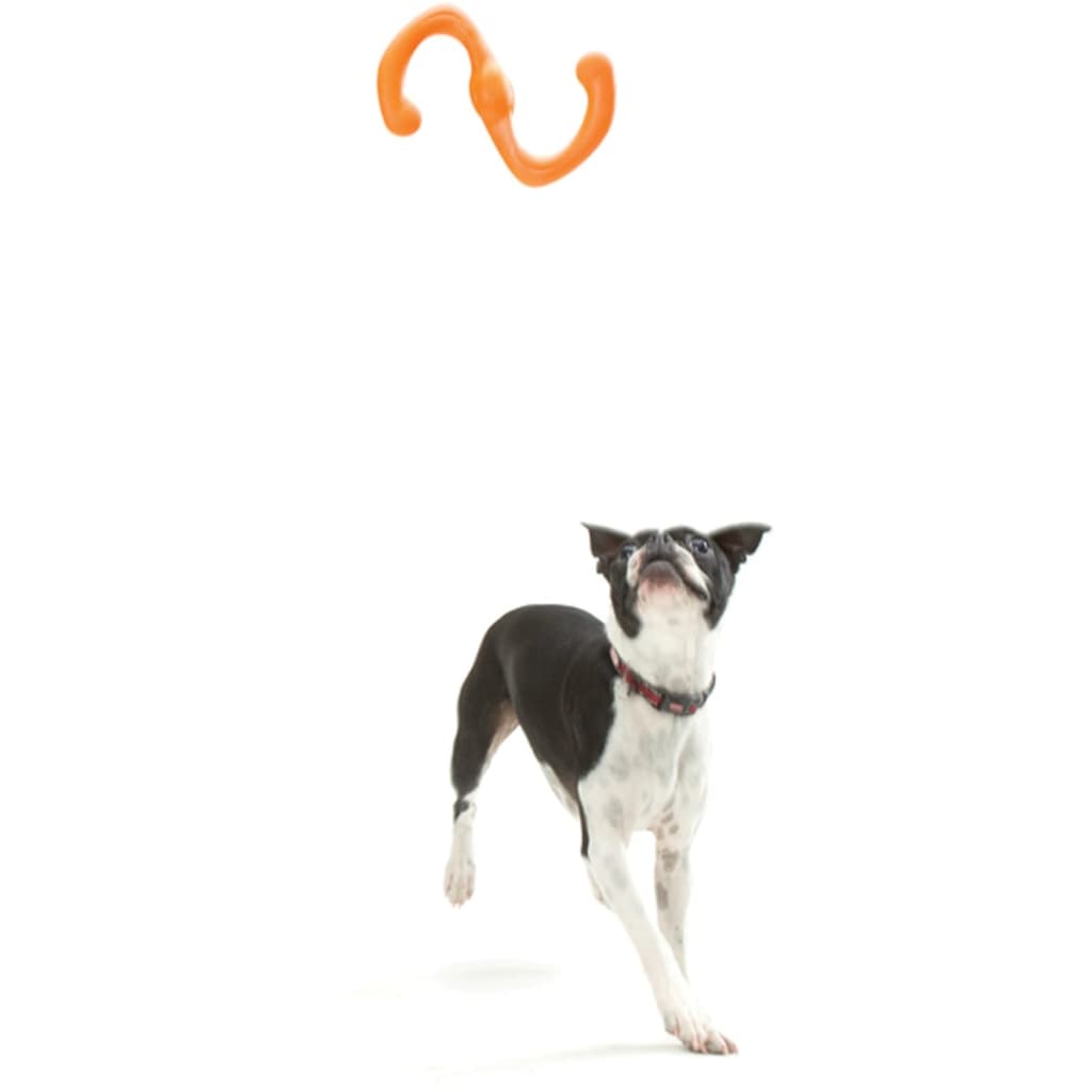 

Zogoflex Honden kauwspeeltje Bumi oranje maat L 1947