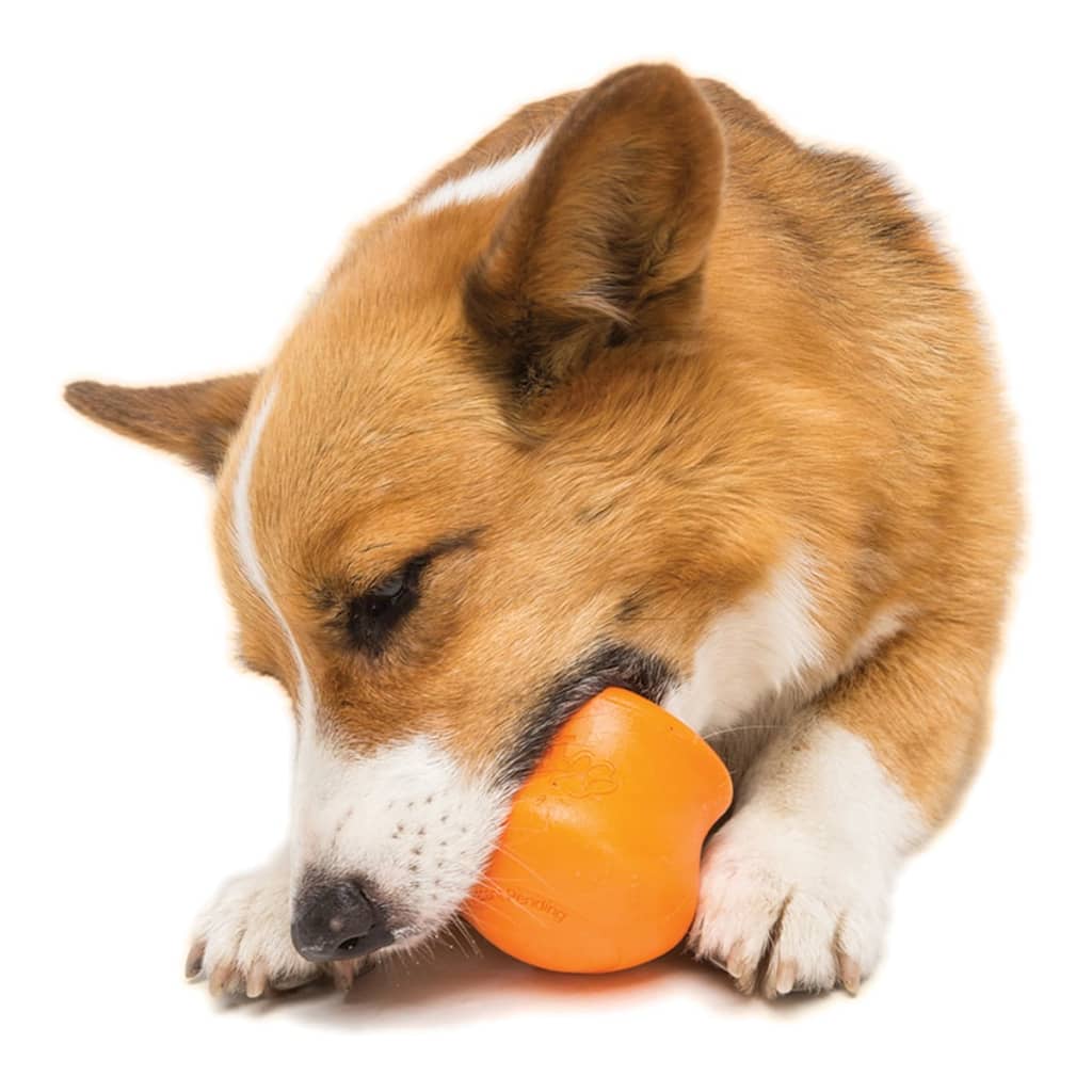 

Zogoflex Honden schommelspeelgoed Toppl oranje maat L 1959