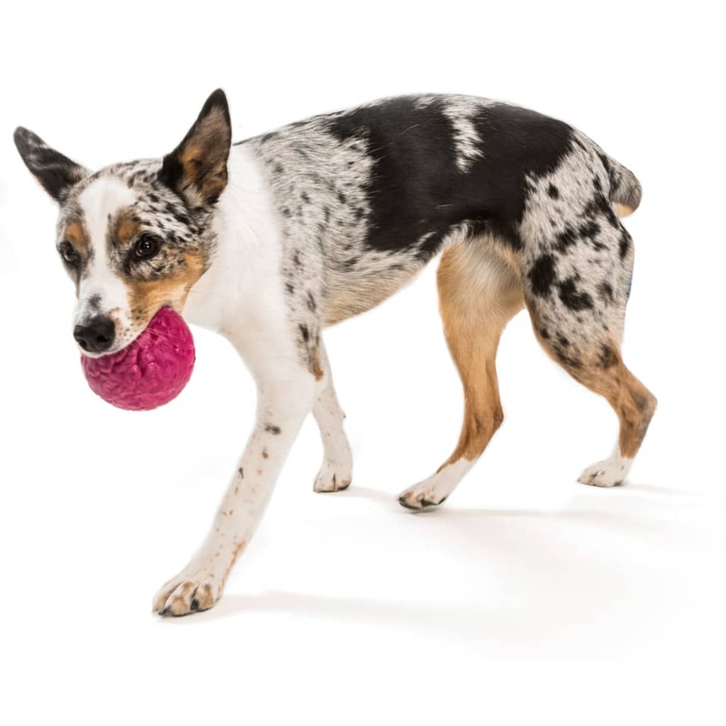 

Zogoflex Hondenspeelbal Air Boz roze maat L 2686
