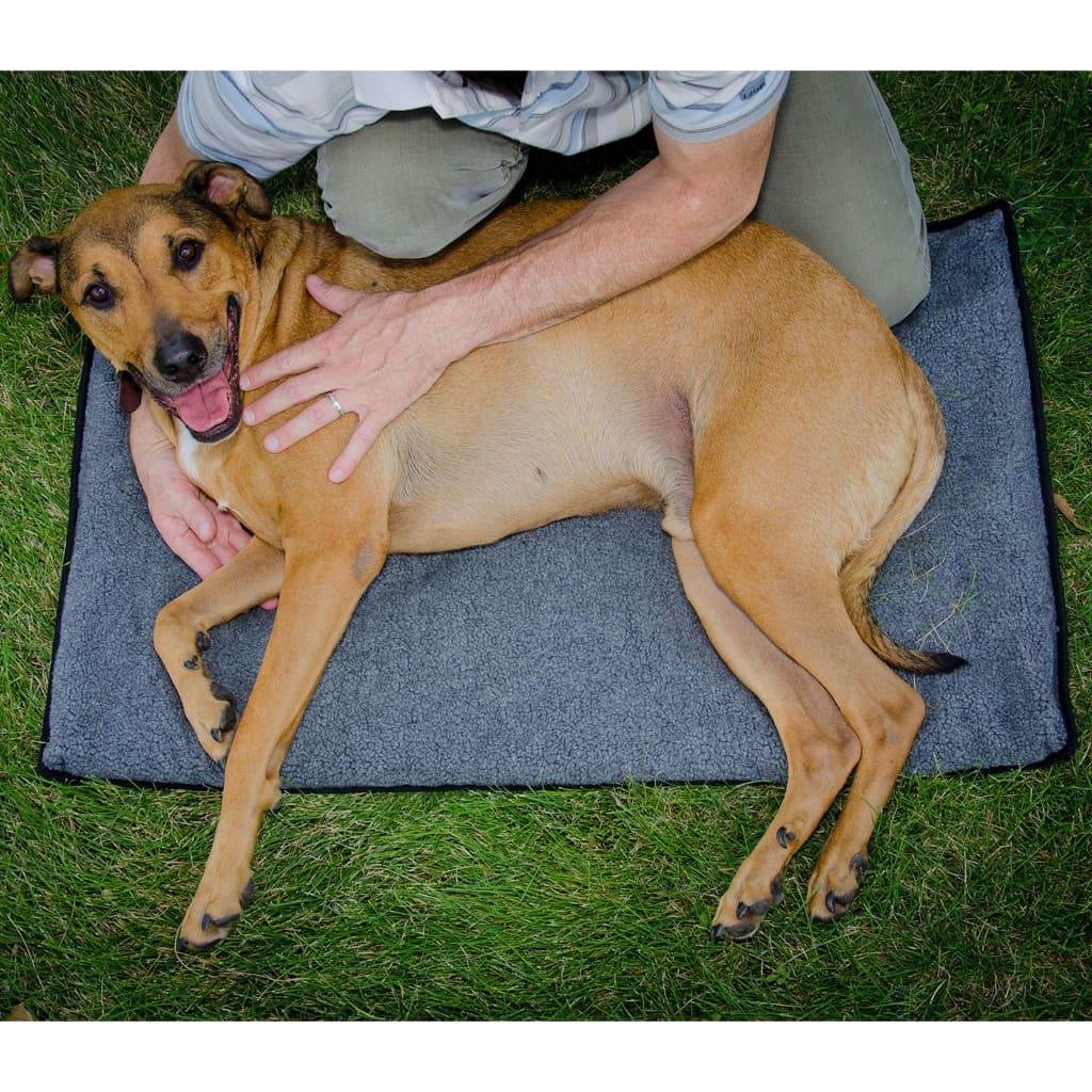 FitPAWS Honden uitstrekmat K9FITbed M/L grijs