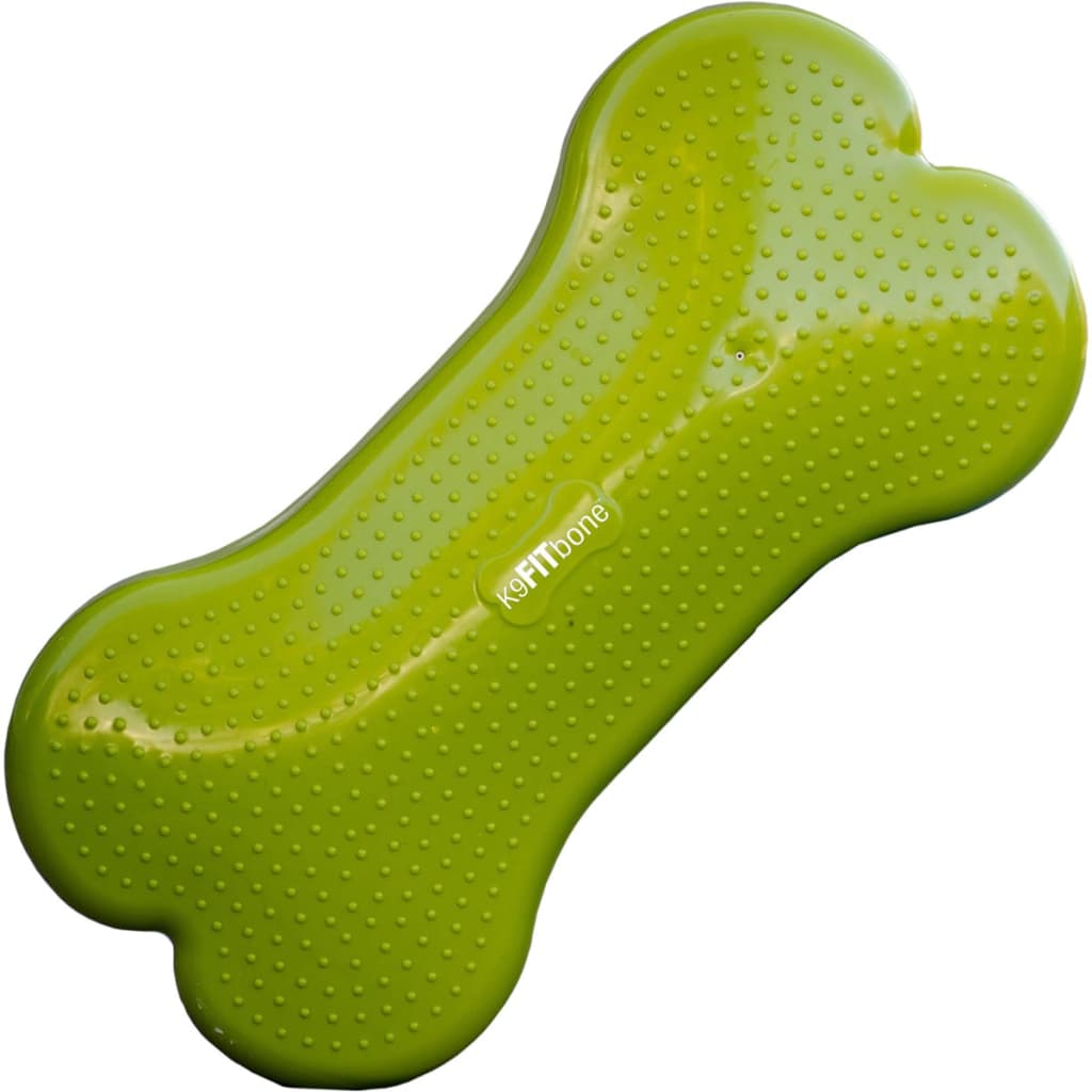 Plate-forme d'équilibre vert pour chien - 58x29x10 cm