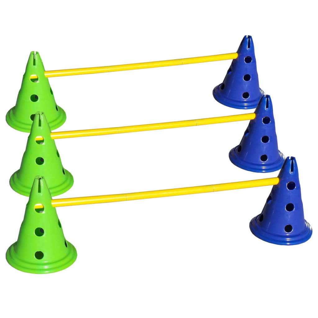 Kit Agility Per Cani Canine Gym FitPAWS 13 width=274