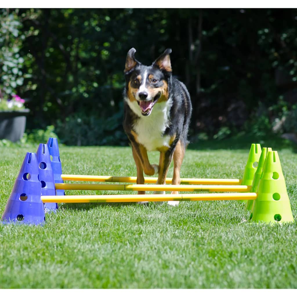 Kit Agility Per Cani Canine Gym FitPAWS 17 width=274