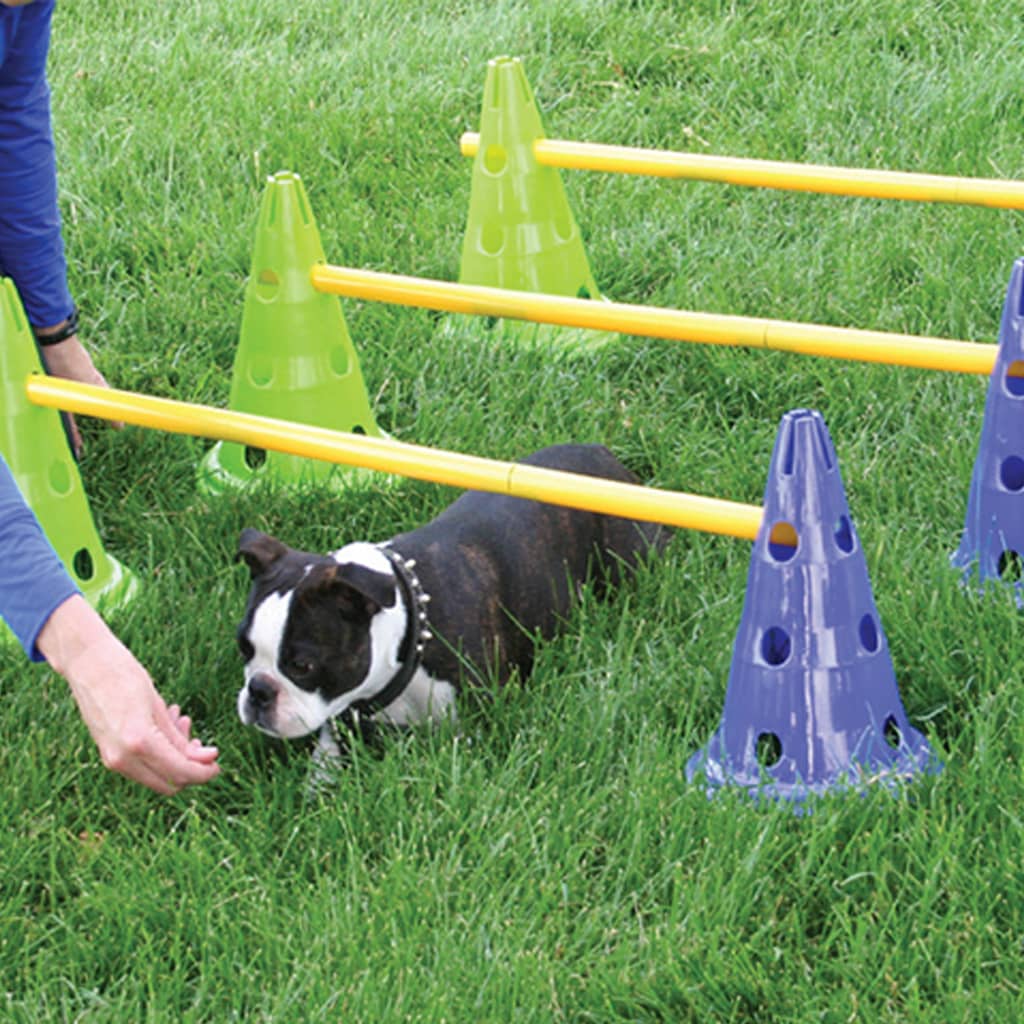 Canine Gym Dog Agility Kit