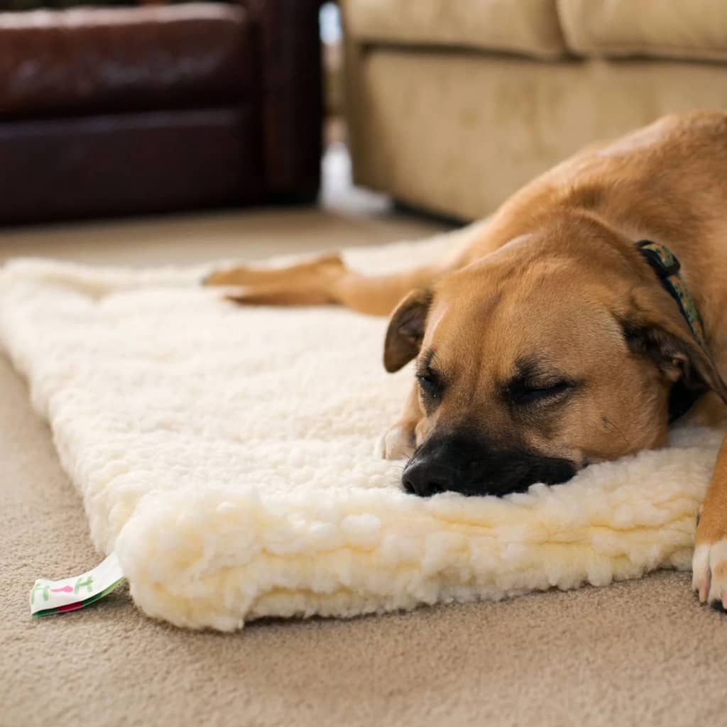 Постелка за домашни любимци флийс XL вълненобяла