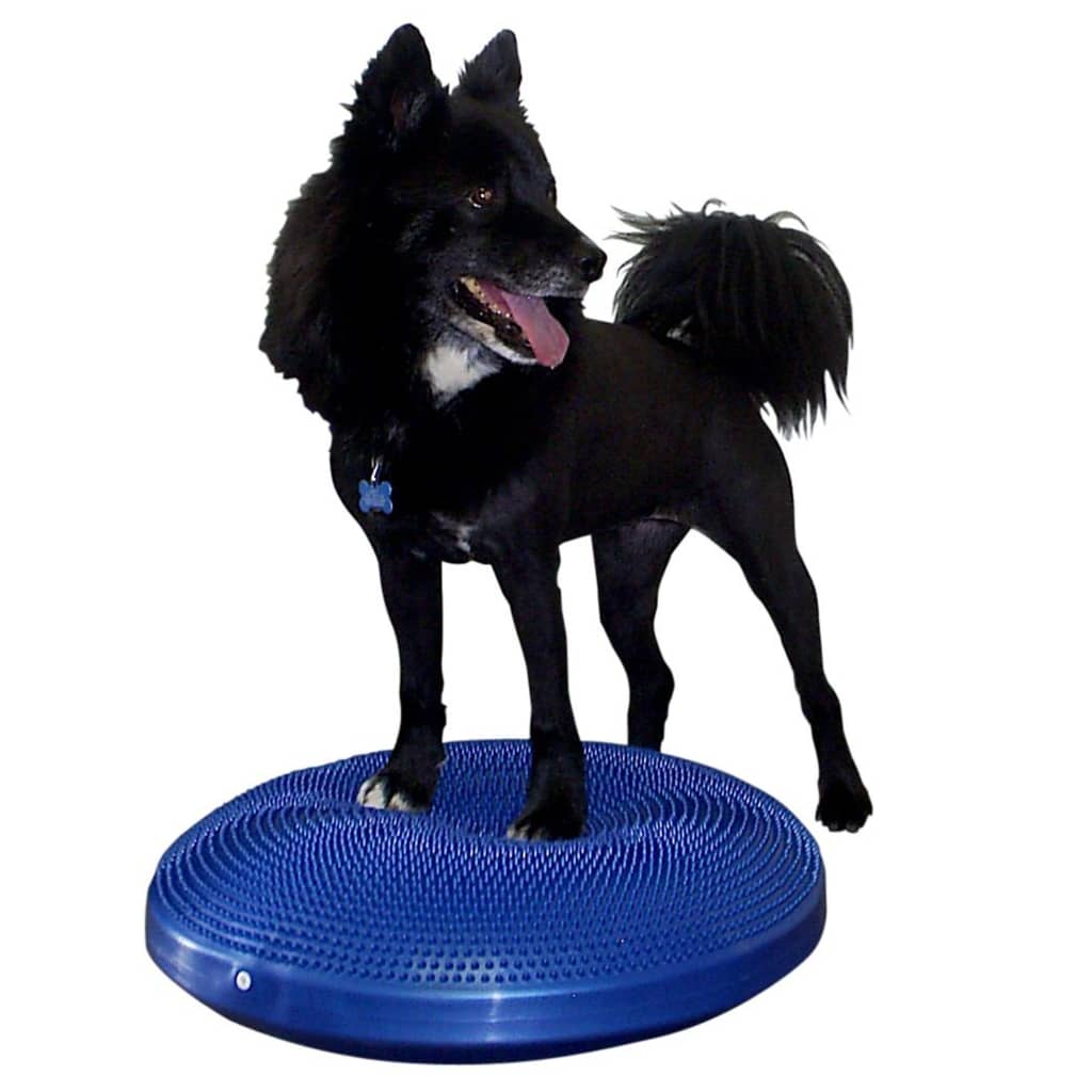 FitPAWS Dierenbalansschijf 56 cm blauw afbeelding