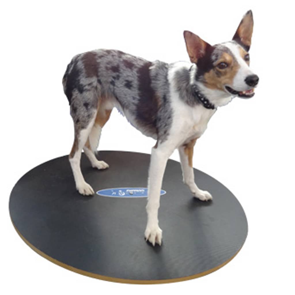 

FitPAWS Balansbord 50 cm zwart