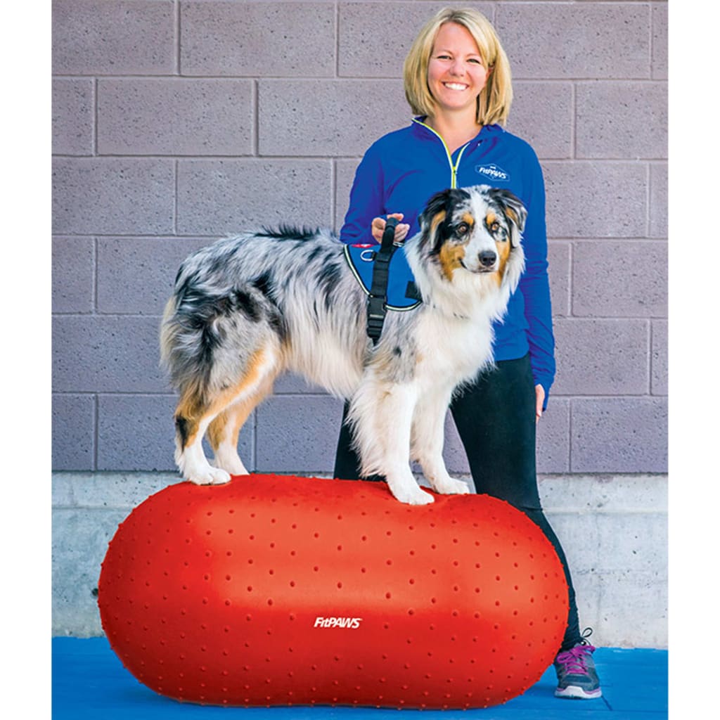 FitPAWS Gleichgewichtstrainer für Haustiere Trax Peanut 50 cm Rot