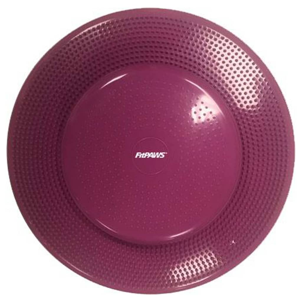 FitPAWS Disque d'équilibre pour animaux de compagnie 56 cm