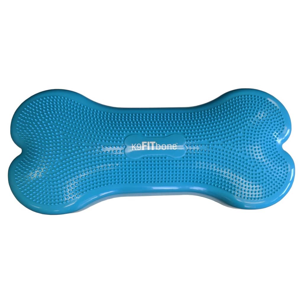 Plate-forme d'équilibre XL bleu clair pour chien - 90x40x14 cm