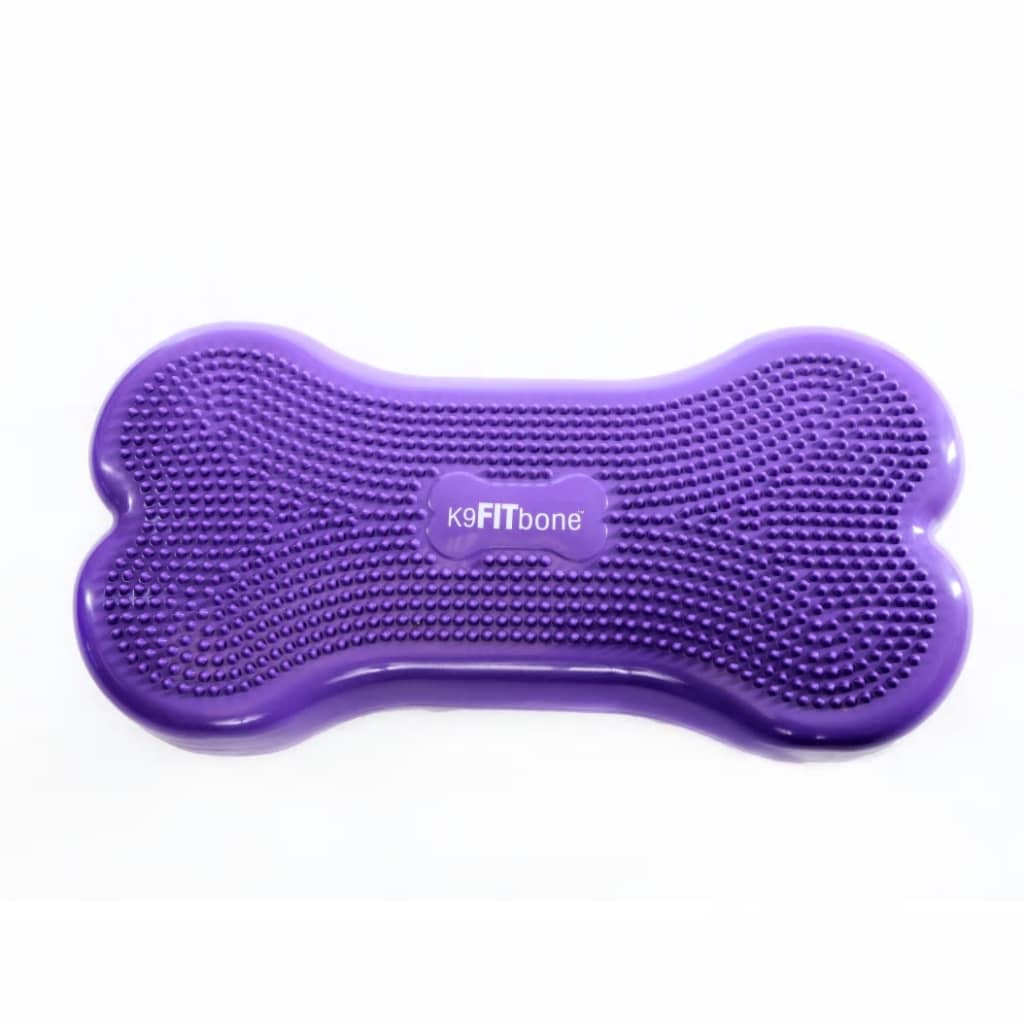 FitPAWS Pasja podloga za ravnotežje Giant K9FITbone PVC vijolična