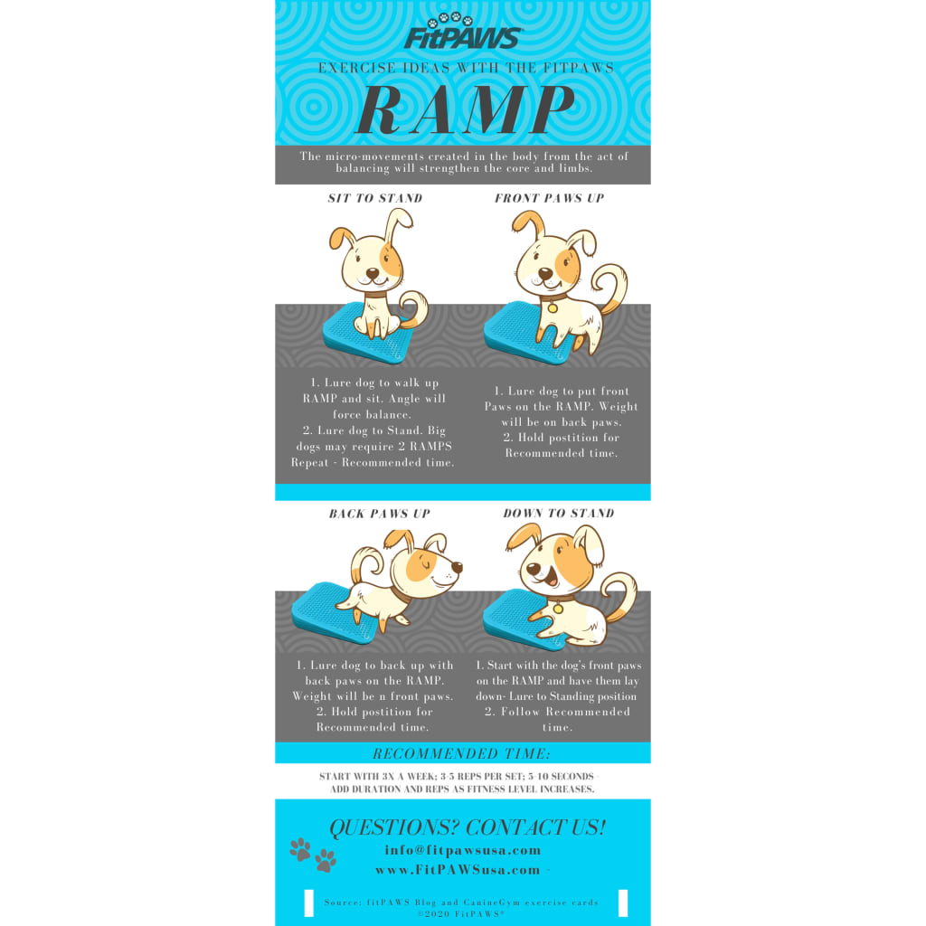 Rampa Di Bilanciamento Per Animali Domestici 35x35x7 Cm Blu FitPAWS 20 width=274