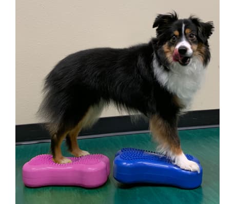 FitPAWS Πλατφόρμα Ισορρ. Κατ. Mini K9FITbone 2 τεμ 29x16,5x6εκ Μπλε