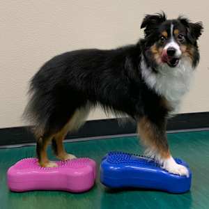FitPAWS Πλατφόρμα Ισορρ. Κατ. Mini K9FITbone 2 τεμ 29x16,5x6εκ Μπλε