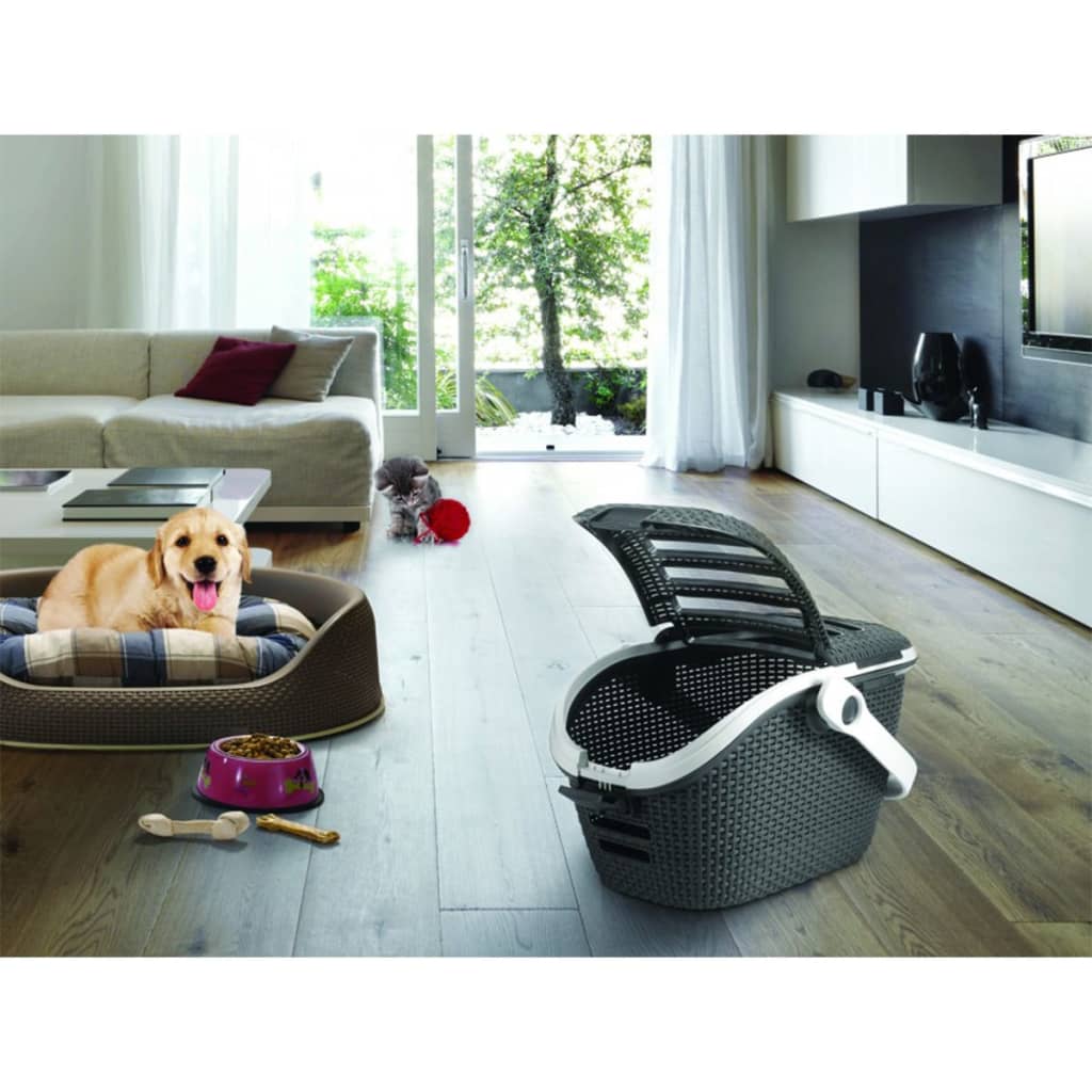 

Curver 408739 Pet Carrier 51x38x33 cm Anthracite 715085