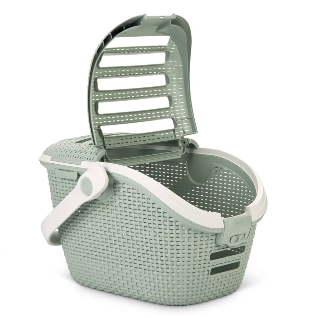 425571 Curver Pet Carrier 51x38x33cm Misty Blue