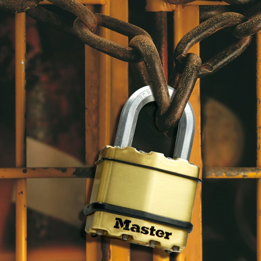 

Master Lock Hangslot 45 mm staal M1BEURD