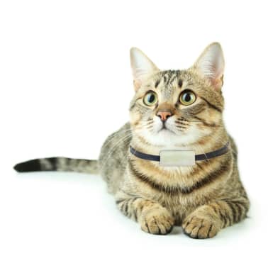 best cat tracker australia