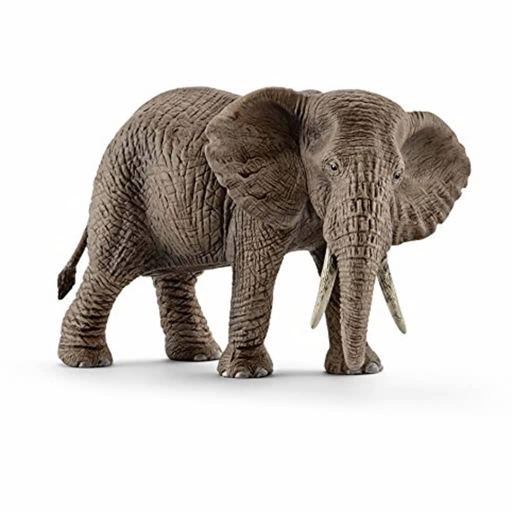 Afbeelding Schleich Safari - Afrikaanse Olifant Vrouwtje 14761 door Vidaxl.nl