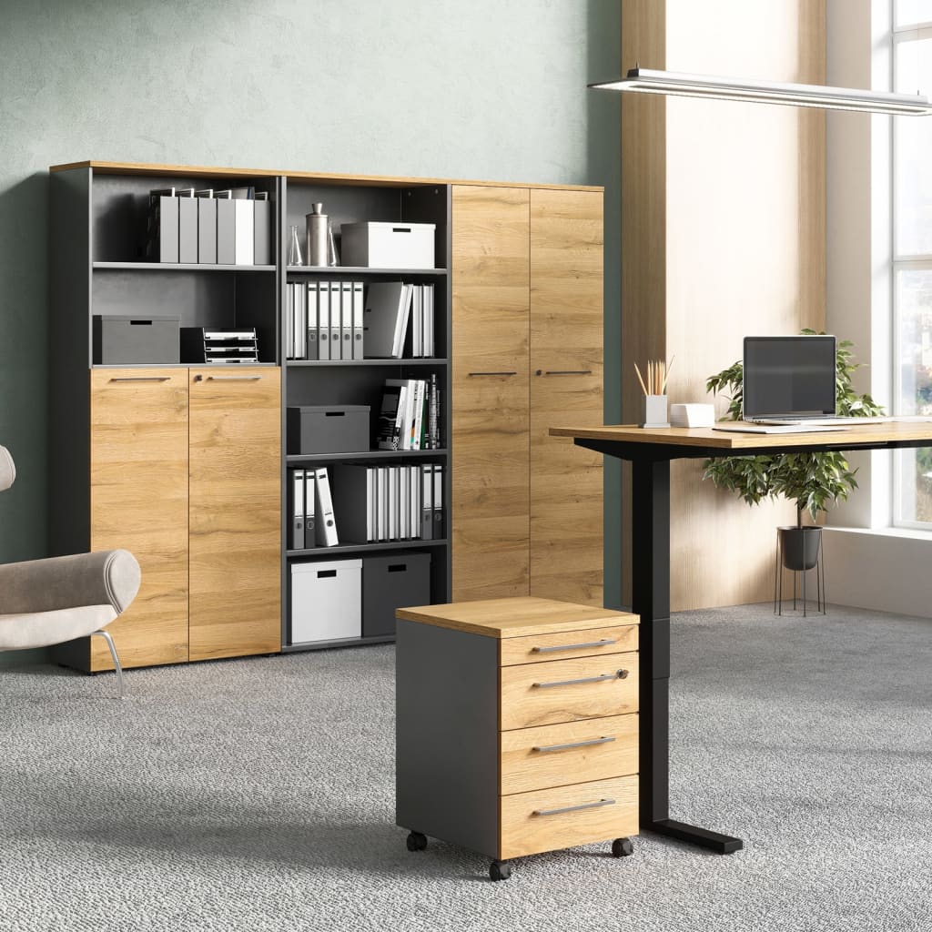 Germania Armoire sur roulettes GW-Agenda 42x49x61 cm Graphite/chêne