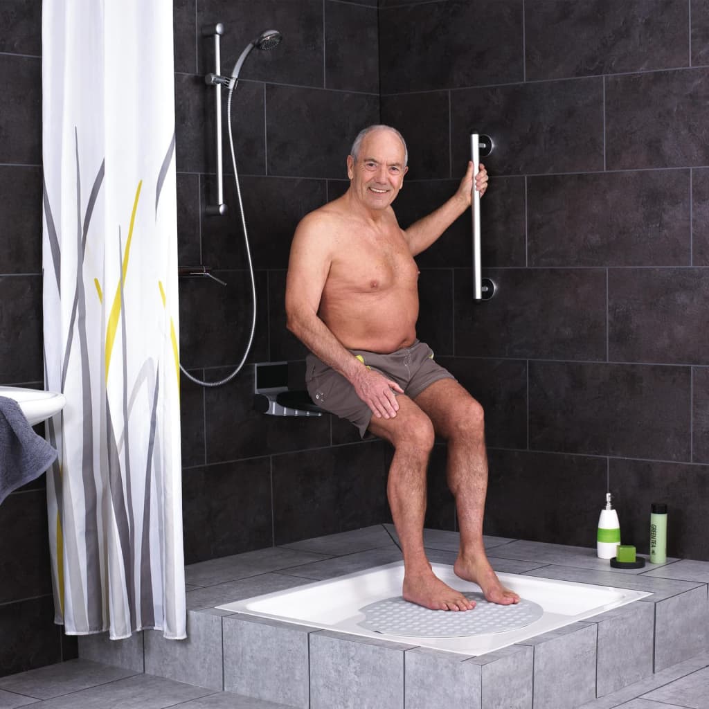 RIDDER Badkamer handgreep Premium 45 cm aluminium zilverkleurig afbeelding