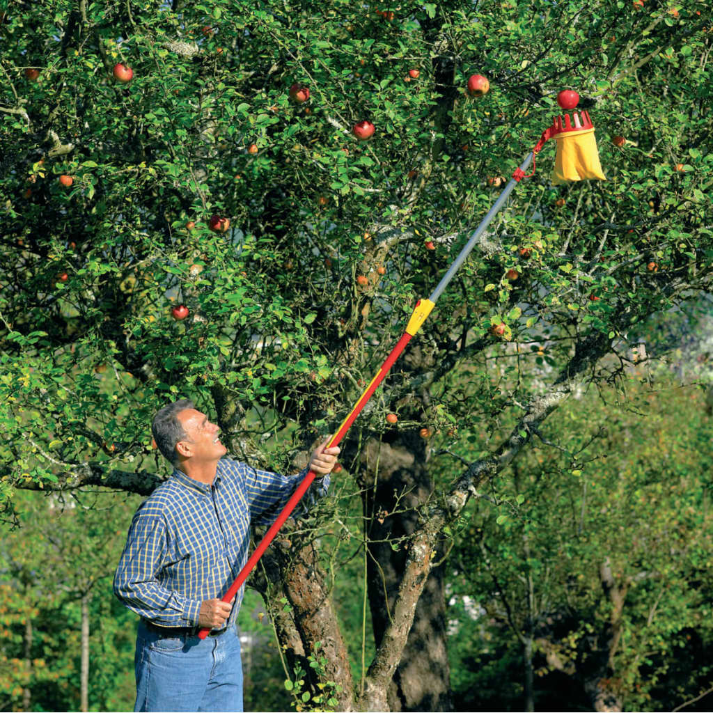 Afbeelding Fruitplukker vario RG-M door Vidaxl.nl