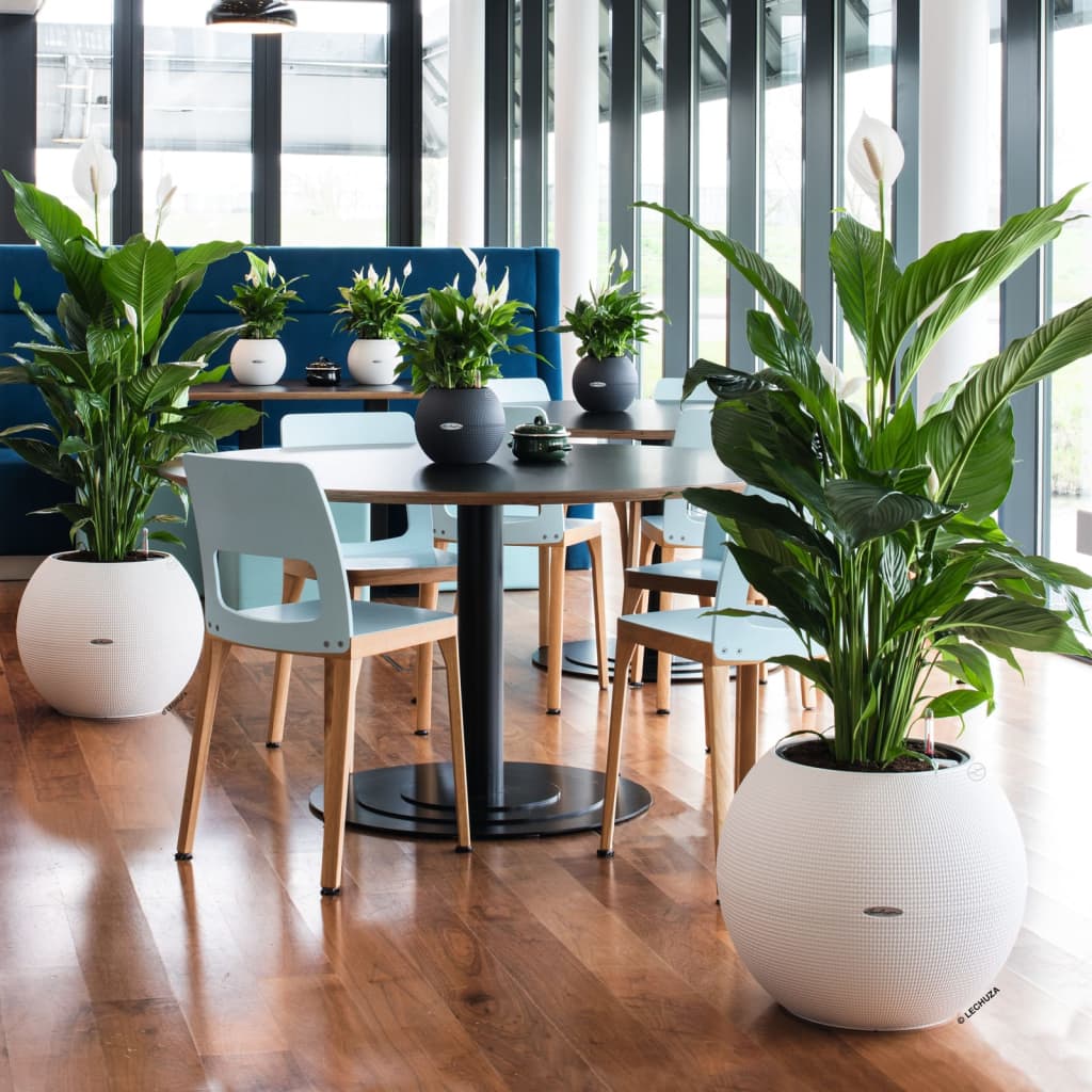 Planter PURO Color 50 ALL-IN-ONE Diameter 49 Cm White LECHUZA 18 width=274