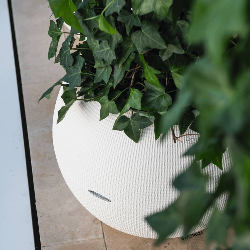 Planter PURO Color 50 ALL-IN-ONE Diameter 49 Cm White LECHUZA 21 width=274