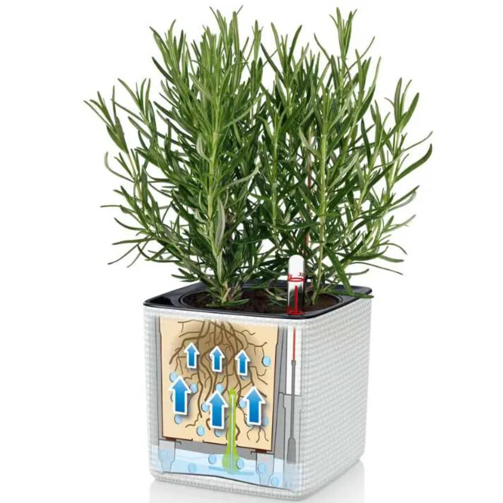 

LECHUZA Plantenbakken 3 st Green Wall Home Kit wit