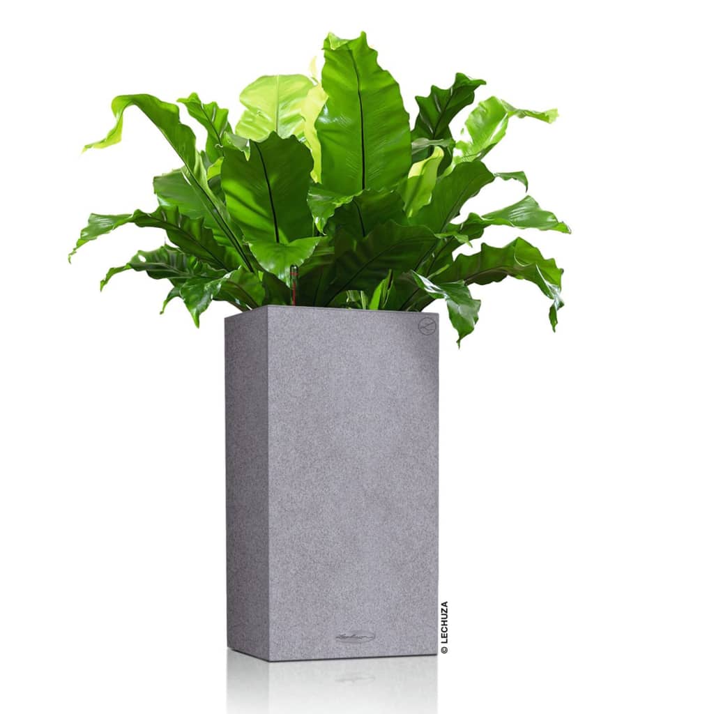 

LECHUZA Plantenbak CANTA Stone 30 High ALL-IN-ONE steengrijs
