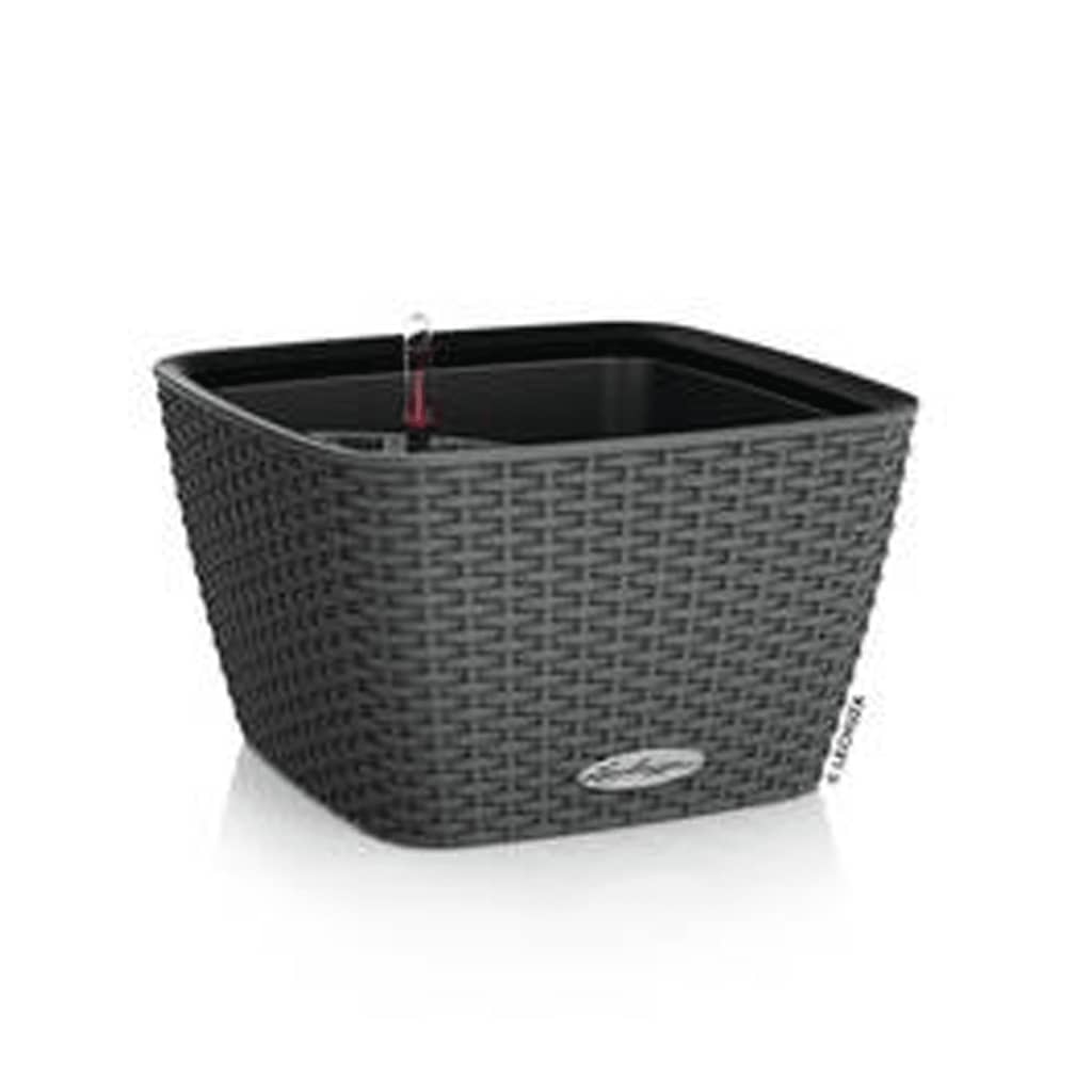 Planter BACINO Cottage ALL-IN-ONE 30x30 Cm Graphite Black LECHUZA 13 width=274