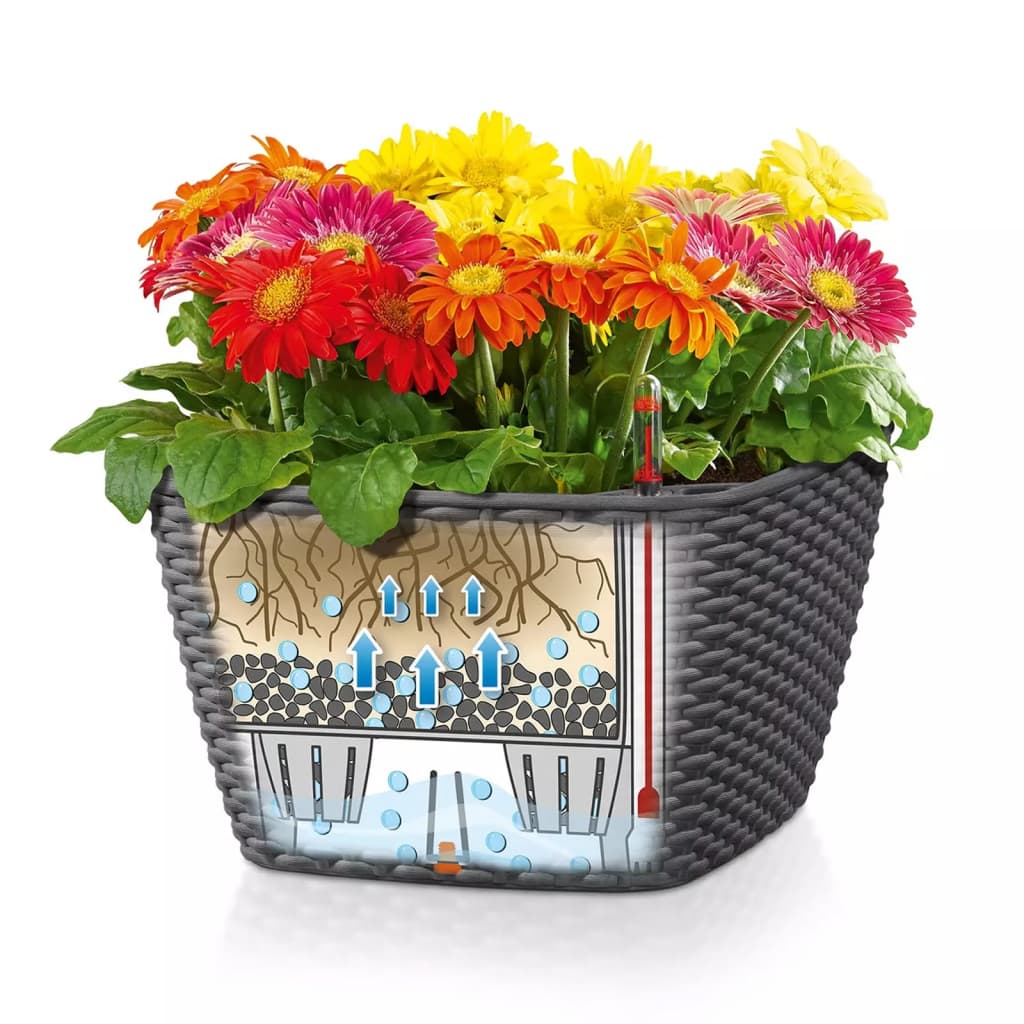 Planter BACINO Cottage ALL-IN-ONE 30x30 Cm Graphite Black LECHUZA 19 width=274