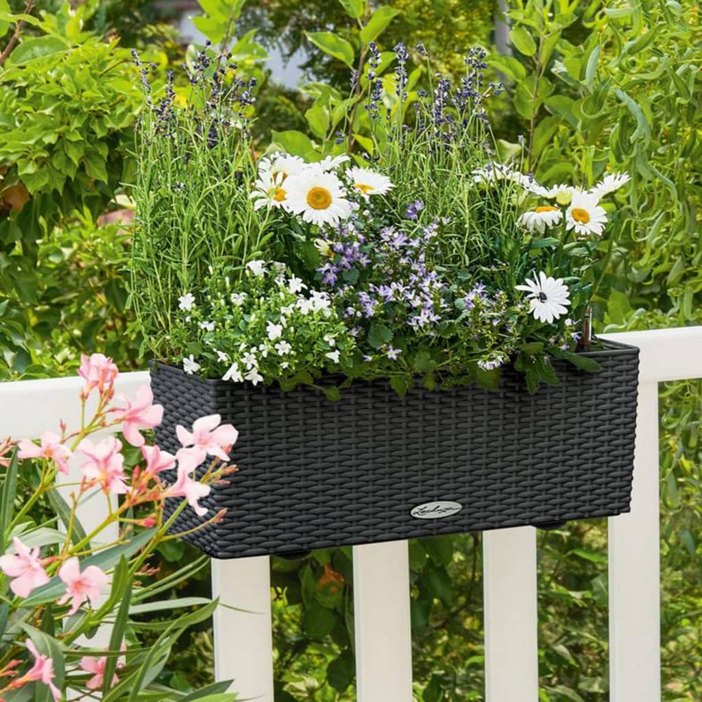 Lechuza Pflanzgefäß Balconera Cottage 50 All-In-One Granitgrau