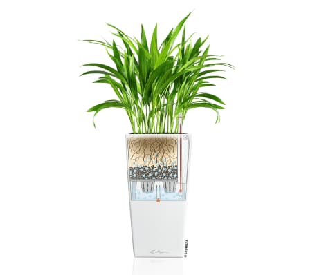 Lechuza Cubico Wit | Snelle levering