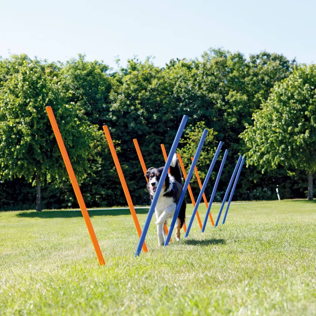 TRIXIE Piquets de slalom pour parcours d'agilité 115 cm 12 pcs Plastique