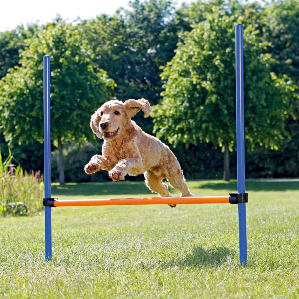 Afbeelding Trixie Dog Activity Agility Horde - Hondensport - 123x115x3.0 cm Blauw Oranje door Vidaxl.nl